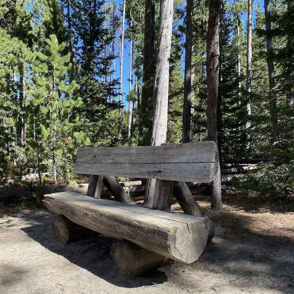 Lake Leigh Trail Bench