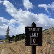 Five Short Hikes in Yellowstone
