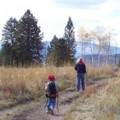 Hiking with Kids in Yellowstone