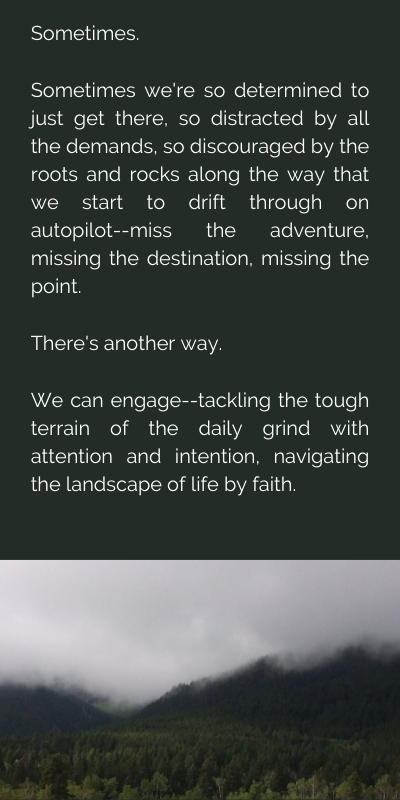 Home Page Text – Center